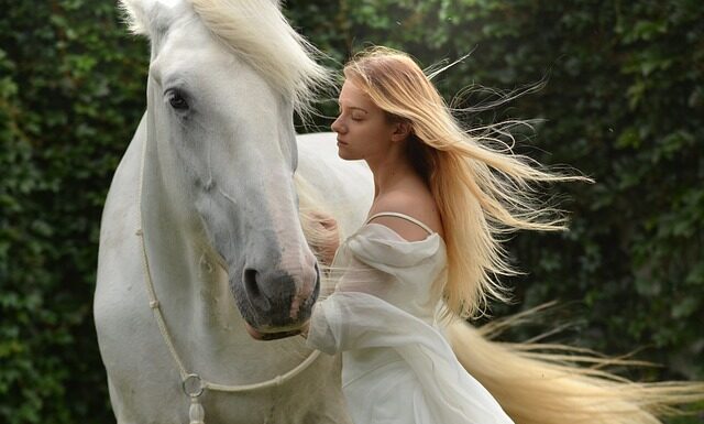 Jakie derki dla koni?